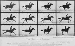 zoetrope resimleri atlar