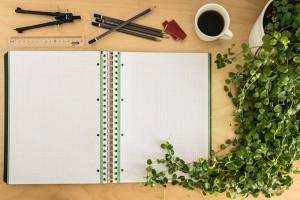 ikigai çalışma masası defter bitki kalemler kahve fincanı