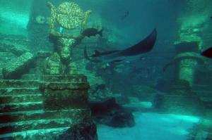 atlantis hotel nassau