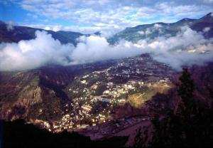 artvin livane