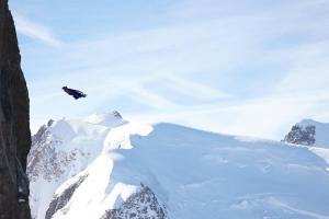 extreme sporlar base jumping wingsuit