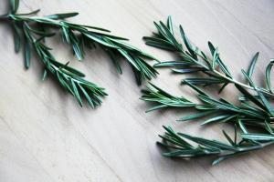 biberiye