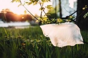 plastik doğa
