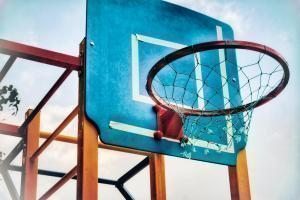 basketbol potası
