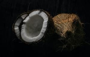 hindistancevizi