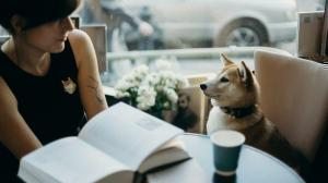 köpek kadın kafe evcil hayvan dostu