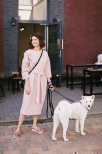 köpek kadın sokak evcil hayvan dostu