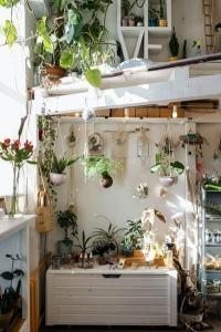 ev wabi sabi bitkiler