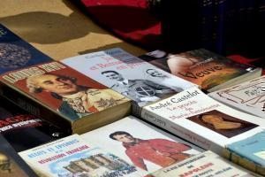 roman kitap biyografik eser