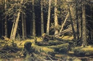 ivan ivanoviç şişkin wind fallen trees