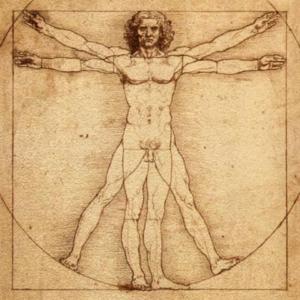 leonardo da vinci vitruvius adamı