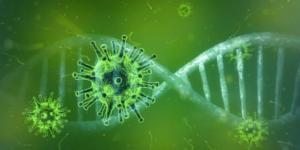 covid-19 virus