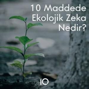 ekolojik zeka doğa