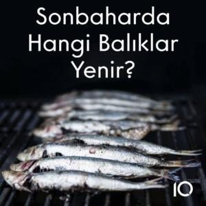 balık