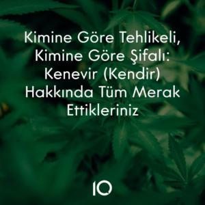 kenevir