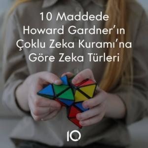zeka türleri