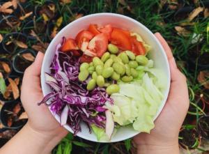 sebze bowl