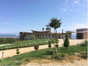 kalpak şarap bağı