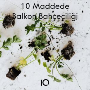 balkon bahçeciliği