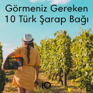 türk şarap bağları