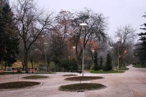 Botanik Parkı