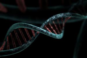 DNA