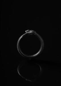 ouroboros