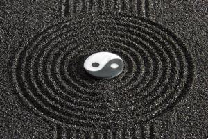 Yin Yang Cover