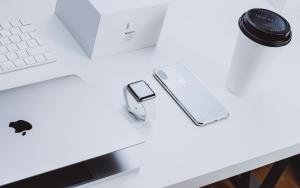 apple inc
