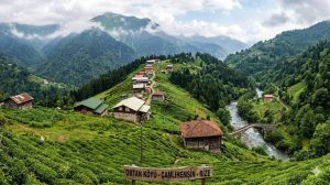 Ortan Köyü (Rize)