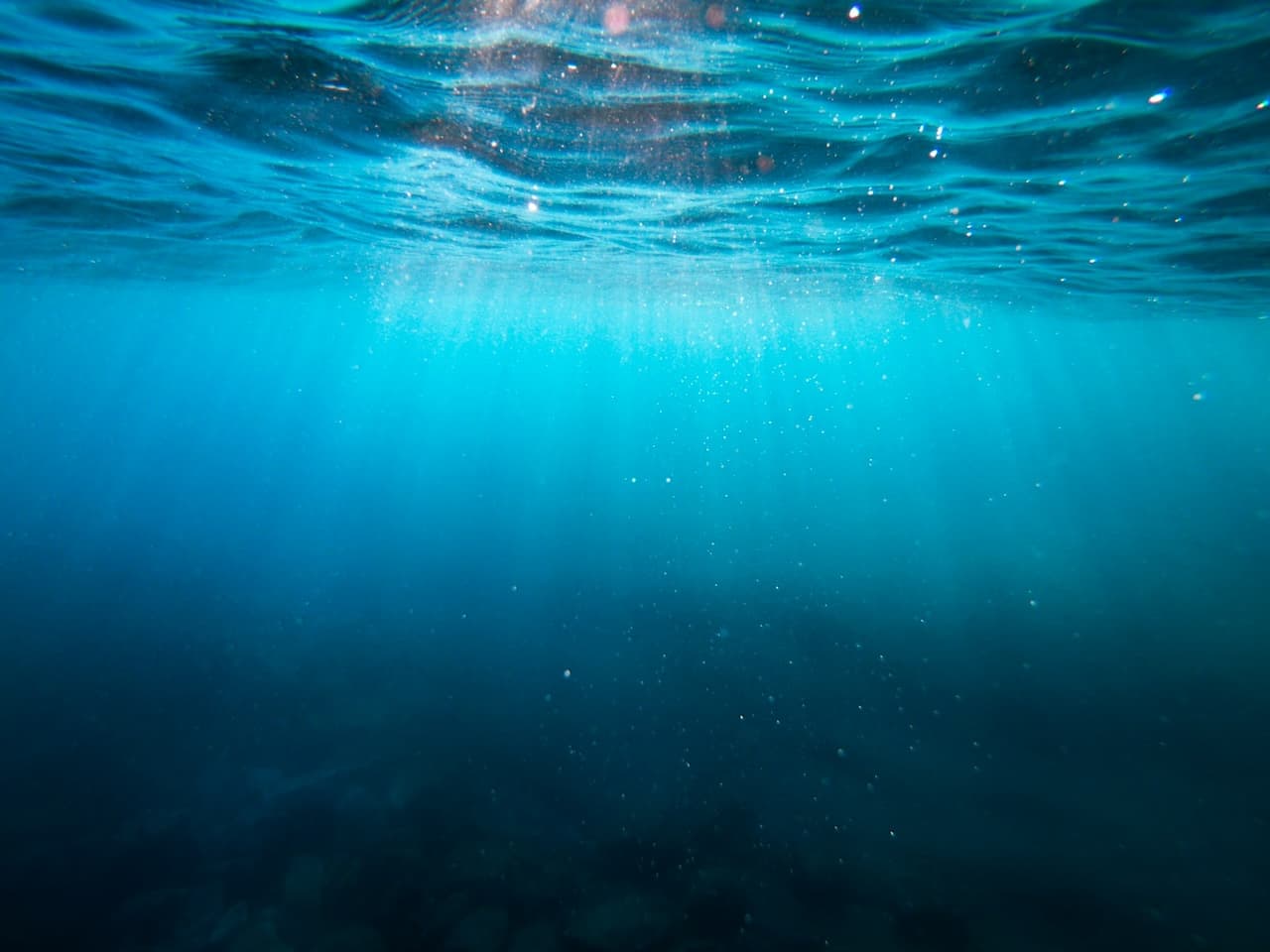 ‘Blue Ocean’ (Mavi Okyanus) Stratejisi Nedir? Rekabetten Kaçınarak Büyümenin Yolları