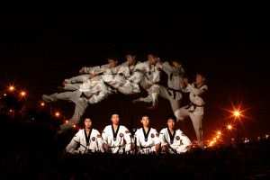 10layn-Taekwondo12