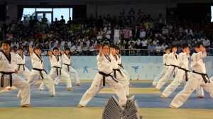 10layn-Taekwondo6