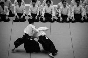 10layn-aikido2