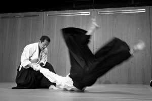 10layn-aikido3