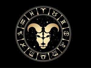 10layn-aries7