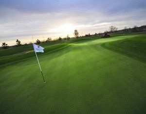 10layn-golf10