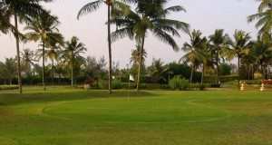 10layn-golf6