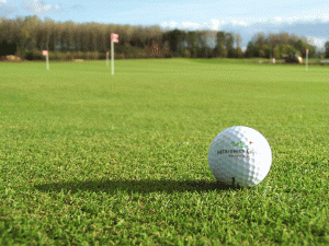 10layn-golf9