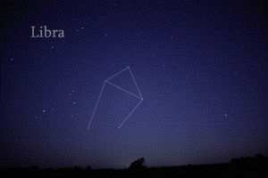 10layn-libra3