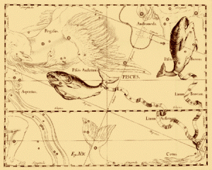 10layn-pisces9