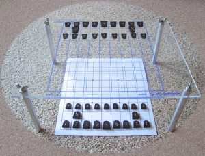10layn-shogi4