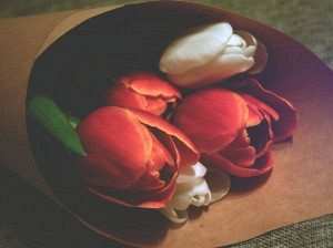 10layn-valentine3